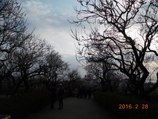 DSCN8661