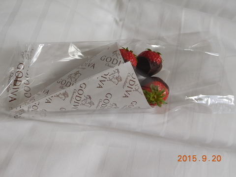 DSCN5594