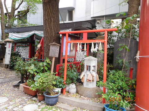 DSCN7730