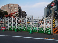 DSCN8675