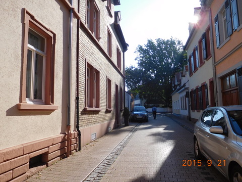DSCN5906