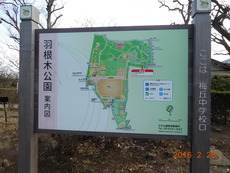 DSCN8644