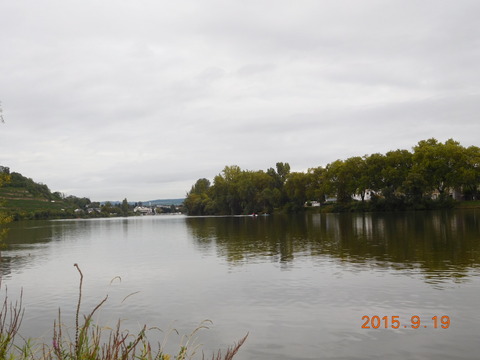 DSCN5131