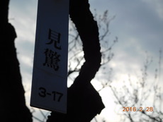 DSCN8658
