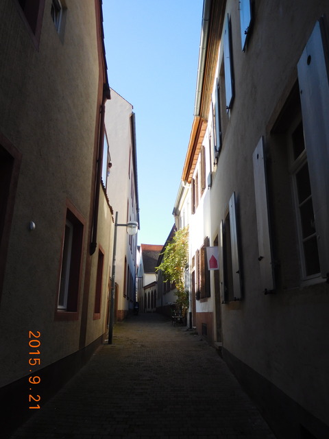 DSCN5882