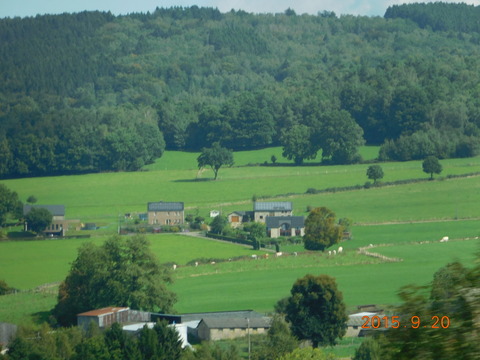 DSCN5665