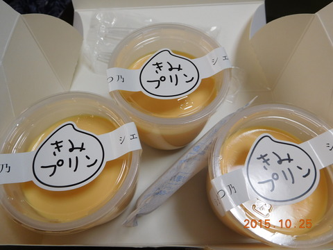 DSCN7803