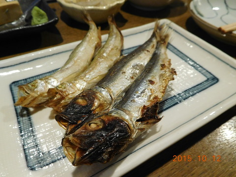 DSCN7685