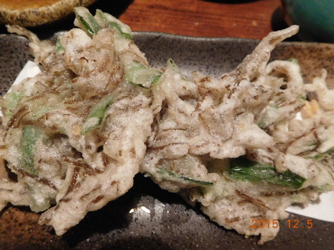 DSCN9497
