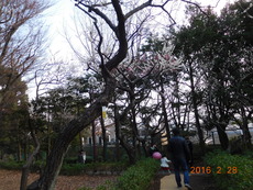 DSCN8649