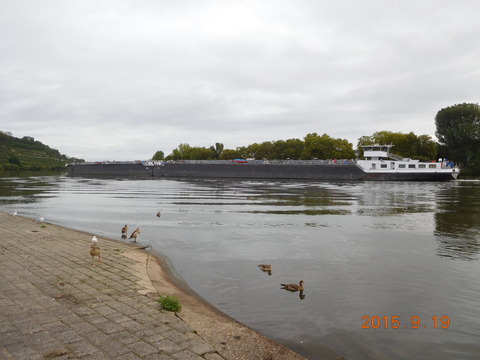DSCN5138