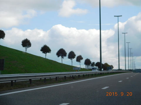 DSCN5669