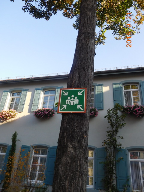 DSCN5851