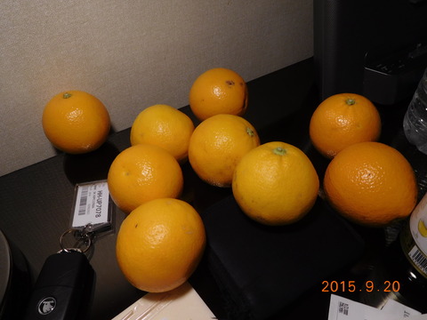 DSCN5509