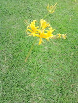 5ec02b38.jpg