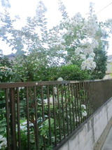 fefd895e.jpg