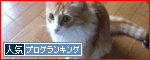 ぽち!