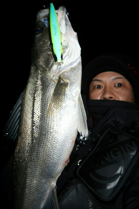 20190208011134_IMG_0609-1