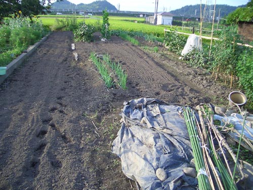 畑土アフター