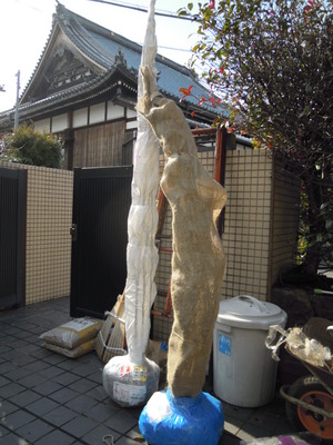 DSCN3901
