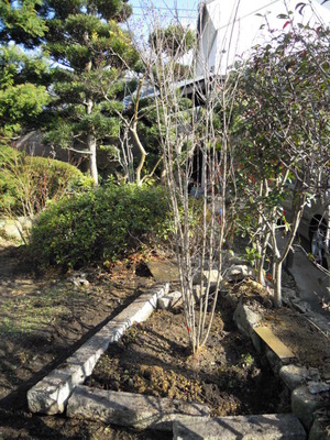 DSCN3905