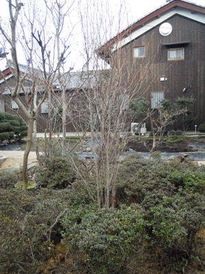 DSCN3965