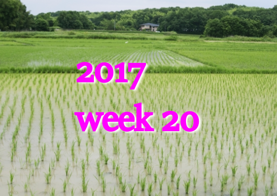 2017w20