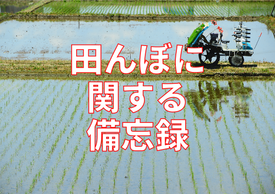 2017-08-24田んぼ