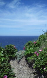 56a7282b.jpg