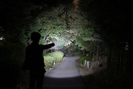 tm28-exposure1l