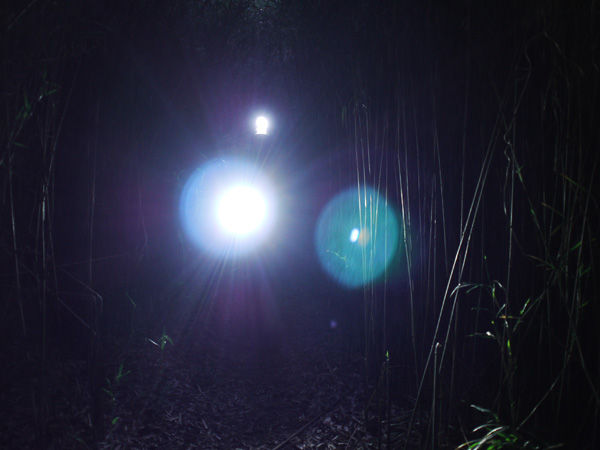 trail5
