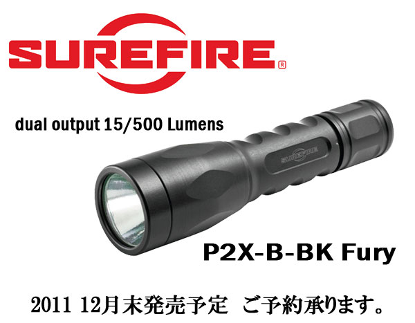P2X-B-BK