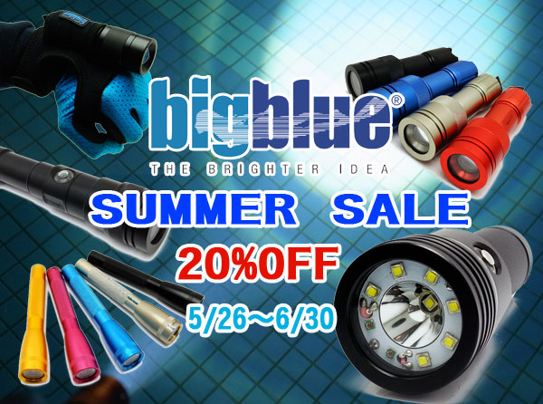 SUMMERSALE-1