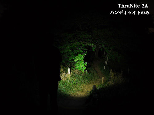 trail4