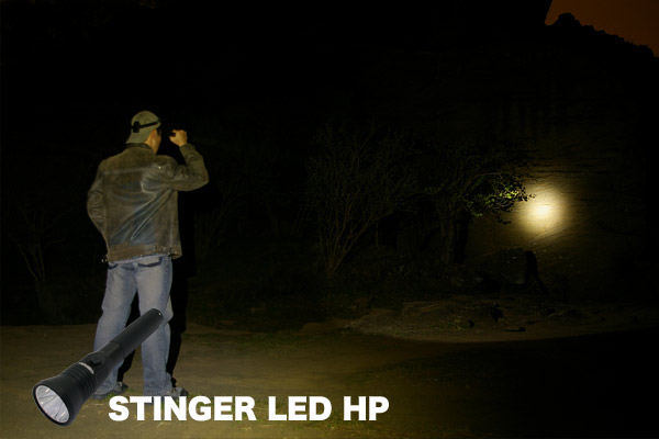 20MSTINGERHP