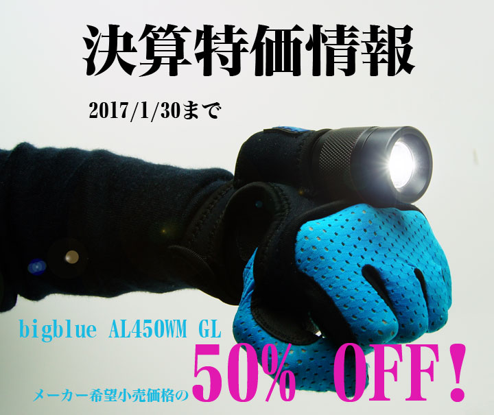AL450WMSALE-1