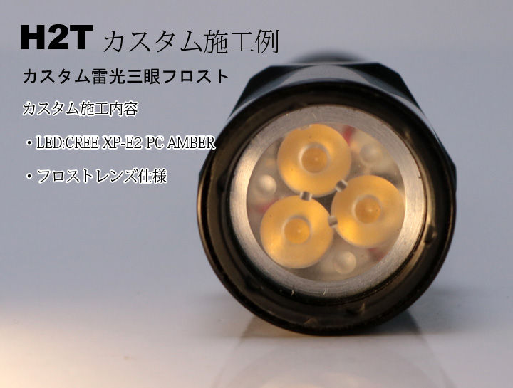 H2T3GAN-1