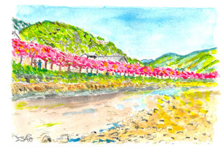 sogishimasan20110727