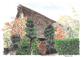 saritasan20120125