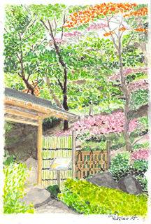 saritasan20111130