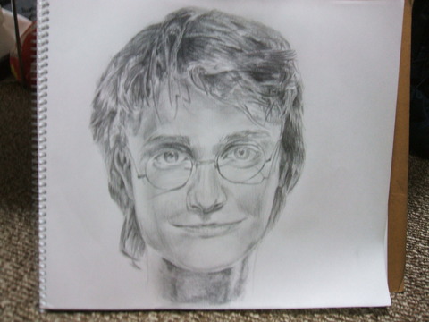 ハリーポッター : 赤白の日記