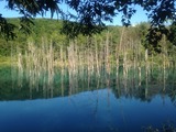 2014-09-01-15-54-36