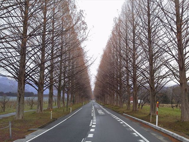P1000045_R