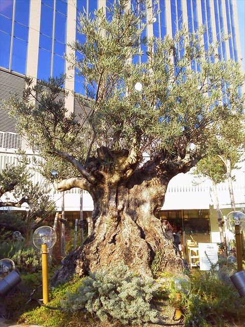 h201203 (3)_R