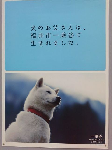 P1000070_R