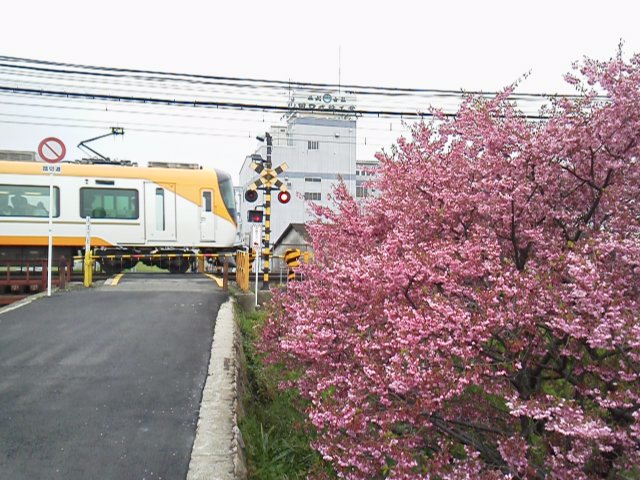 h290408 (2)