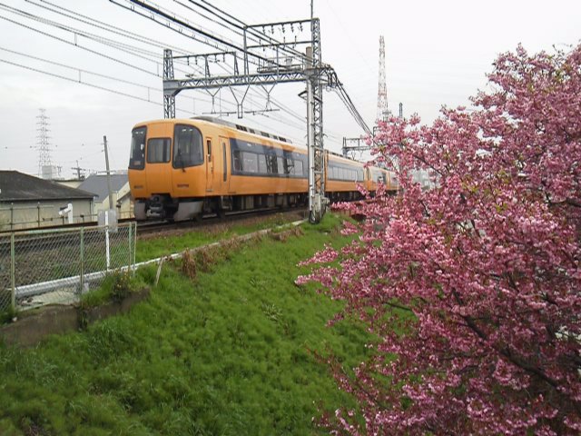 h290408 (3)