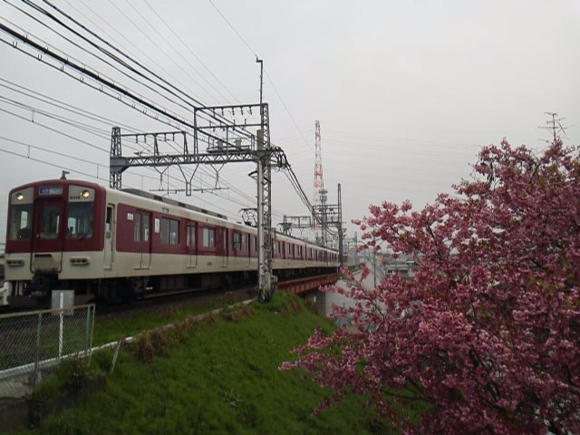 h290408 (5)