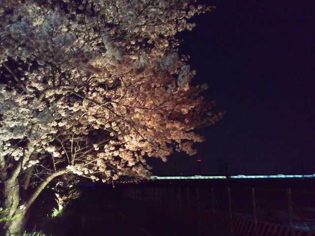 h290409 (13)