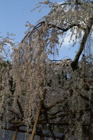 h290416 (154)_R